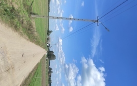 Nowa Wieś (3)