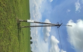 Nowa Wieś (7)