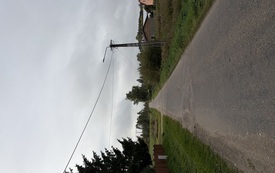 IMG_0153 (1).jpeg