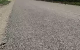 549828410_1239579774870641_1345652091904598685_n