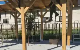 552394605_1164725642188626_5164691499117538706_n