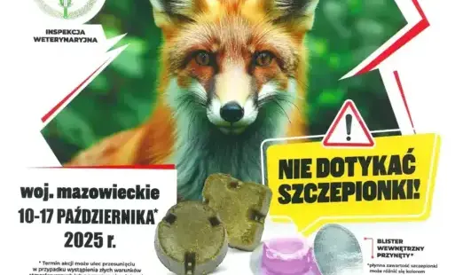 Plakat informujący o szczepieniu lisów