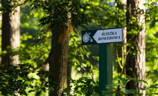 Zdjęcie do Prezentujemy kolejny z naszych wyjątkowych szlak&oacute;w turystycznych &ndash; Szlak Zielony