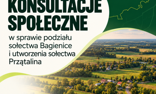 Zdjęcie do Burmistrz Miasta i Gminy Chorzele ogłasza przeprowadzenie konsultacji społecznych w sprawie  podziału sołectwa Bagienice i utworzenia sołectwa Przątalina