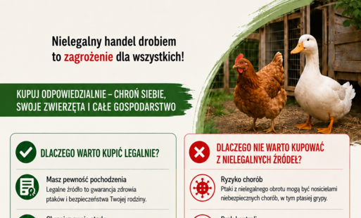 Zdjęcie do Komunikat Powiatowego Lekarza Weterynarii w Przasnyszu