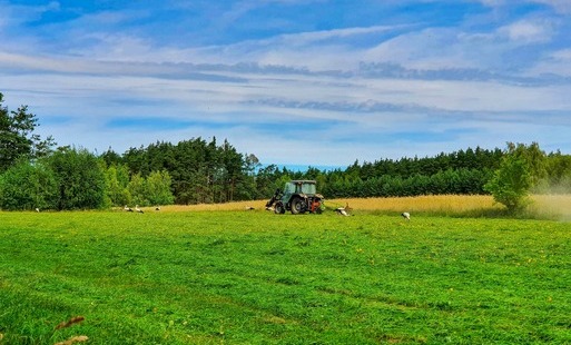 Zdjęcie do Zwrot podatku akcyzowego dla producent&oacute;w rolnych - sierpień 2026