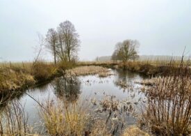 Zbiornik przeciwpożarowy w Zarębach.